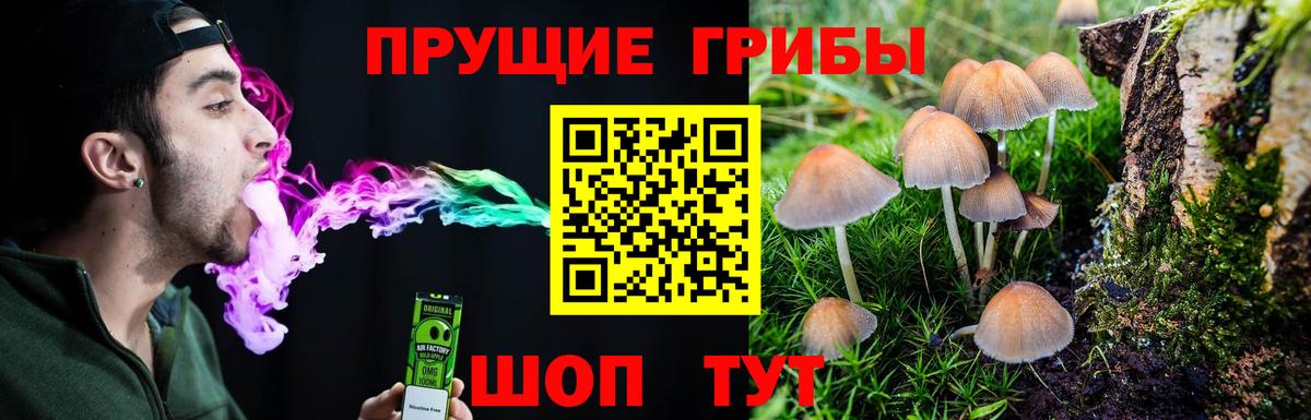 купить  цена  Вход с VPN  Галлюциногенные грибы Cubensis  Сокол  Галлюциногенные грибы ЛСД 